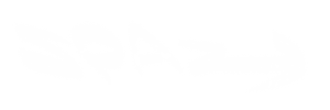 Anubhab G aka Spaz logo