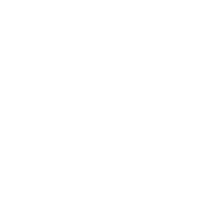 ADEMI beauty & spa logo