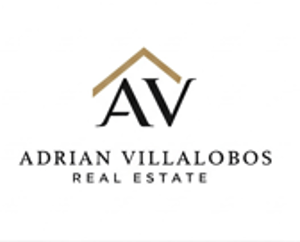 AVC REAL ESTATE logo