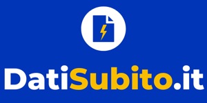 DatiSubito.it logo