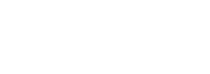 Pleno Gestão logo