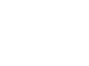 Fast Networks logo
