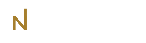 nKonnect logo