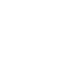 FLÁVIO SOUSA PSI logo