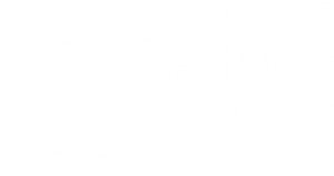 Consejo Nacional Empresarial de Guatemala CNE logo