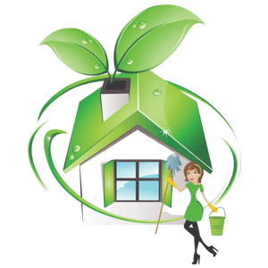 Fresh & Shiny logo