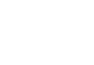 pwhite_productions logo