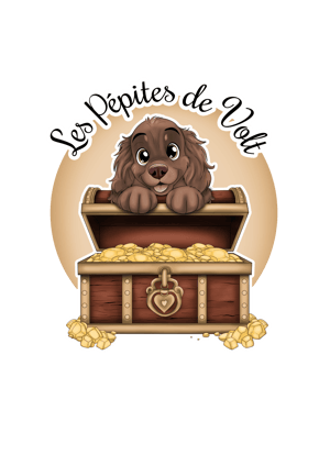 Les Pépites de Volt logo