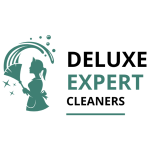 Deluxe Expert Cleaners logo