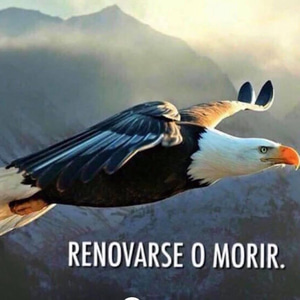 RENOVAR O MORIR logo