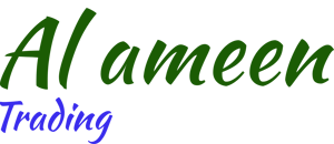 ICeKing logo