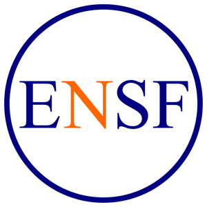 Michaël Nugues - ENSF - Créateur de site web logo