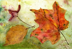 Autumn Leaves