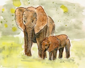 Mama & Baby Elephant