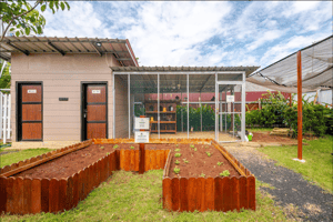 Raised farming beds for gardening and harvesting at Casa Candali farmstay