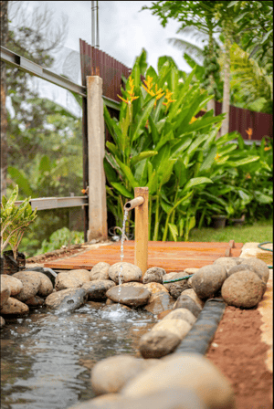 Feeding fish in a pond at Casa Candali, a farmstay surrounded by nature.