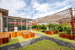 Raised farming beds for gardening and harvesting at Casa Candali farmstay.