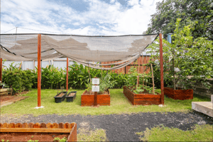 Raised farming beds for gardening and harvesting at Casa Candali farmstay.