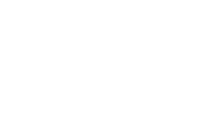 Logo smart cfo white