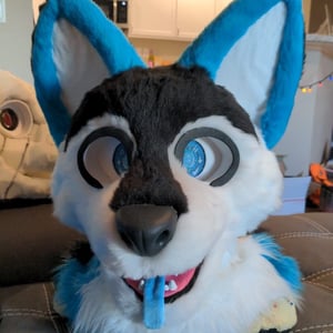 This is blue a dog fursuit made by Teto creations with blue ears and black fur on his face
