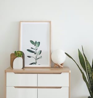 décoration intérieure blanche meuble cadre plante