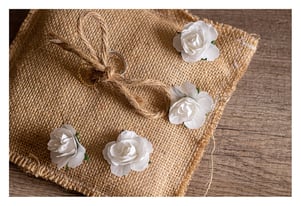 Photos de mariage dans les Hauts-De-France