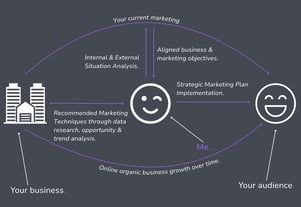 drinu-business-plan