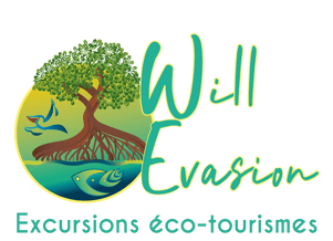 will evasion voyage france guadeloupe