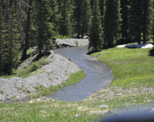 Mountain stream