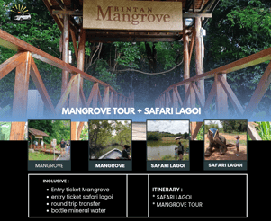 Mangrove and Safari Lagoi