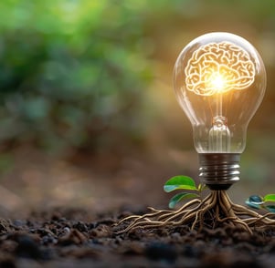 A lightbulb with roots deep in the soil, depicting the depth and natural background showing growth