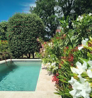 Bassin pour les beaux jours lorsque vous séjournez dans notre roulotte au coeur de la Provence