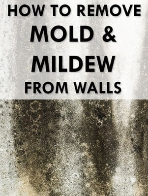 a mold mold mold mold mold mold mold mold mold mold mold mold mold mold mold