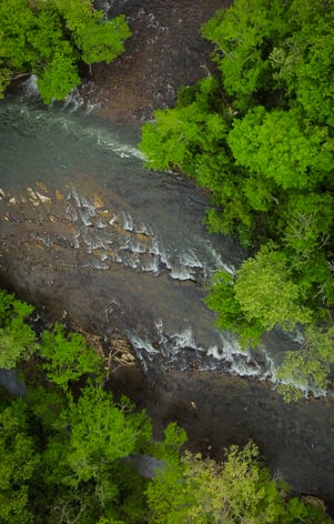 Sycamore Shoals Elizabethton TN