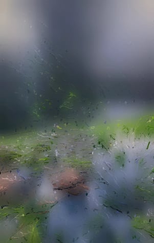 digital art, visual art, digital paintings, Joanna Wlaszyn