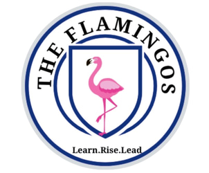 The Flamingo Schooling System logo