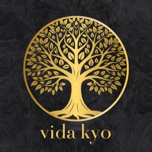 VidaKyo logo