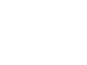 Lmc drone logo