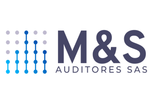 M&S auditores logo