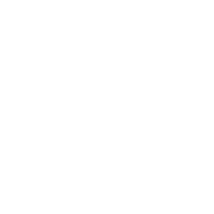 Birdie, viajes organizados en tren por Europa logo