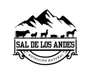 Sal de los andes logo