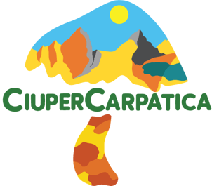 CiuperCarpatica logo
