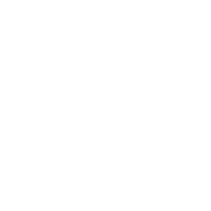 Mary Lens Optic logo