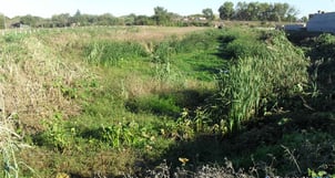 Arroyo Galíndez en Parque Finky