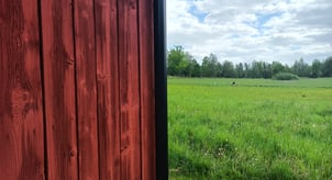 Matte finish, breathable, and easy to apply. For wood lovers seeking a raw and durable aesthetic., barn paint
