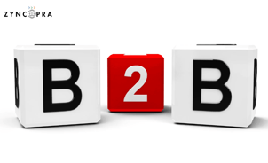 Zyncopra B2B consulting and trade facilitation services