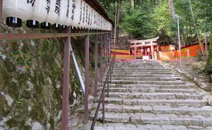 Hachi Jinja