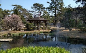 Park