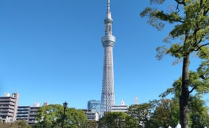 Tokyo Skytree widziane z pobliskiego parku