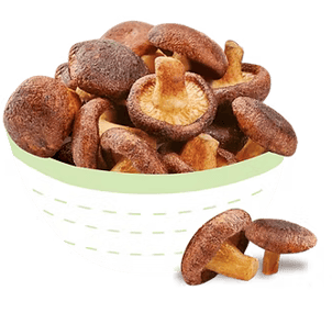 Forestly Crunchy Mushroom Chips